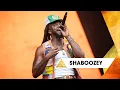 Download Lagu Shaboozey - Amen (Glastonbury 2025)