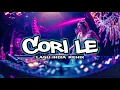Lagu LAGU INDIA REMIX || CORI CORI LE [ ANET BX ] NEW 2K25