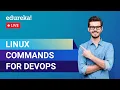 Linux Commands for DevOps Linux Commands Tutorial for Beginners Edureka DevOps Live - 1