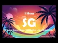 DJ Snake, Ozuna, Megan Thee Stallion, LISA of BLACKPINK - SG ( 1 Hour )