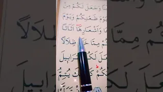 سورة النحل الأية 80 إلى 81 القارئ سعد الغامدي 