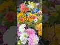 Download Lagu Dahlia bouquets for a very special person. 💗🌸 #dahlias #flowerarrangement #pondhousegarden