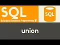 Union SQL Tutorial 16