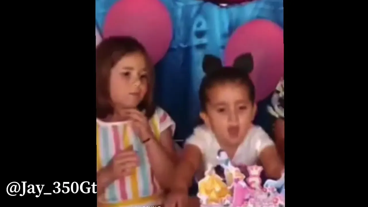 Little Girls Fight At A Birthday Party