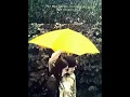 Lagu ''SHINY LOVE''   INSTRUMENTAL (LOVE RAIN)