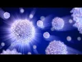 What is Innate Immunity