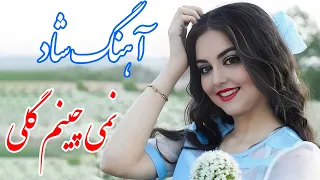 Persian Music آهنگ شاد نمی چینم گلی که خار داره دلبر با خوانندگی فرشید حاضری 