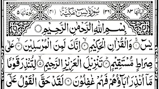 Surah Yasin (Yaseen) Full | سورۃ یس ☘️ Surah Yasin Full | Best Quran | Recitation | Episode 004