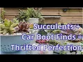 Thrift Flip Succulent Planters Upcycling Car Boot Finds into Beautiful Displays