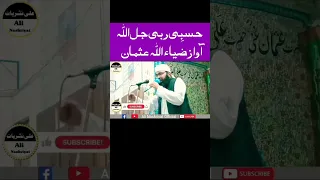 Mulana Zia Ullah Usman Sheikhupure 