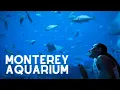The Monterey Bay Aquarium in Monterey California