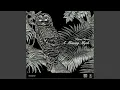 Download Lagu Malam