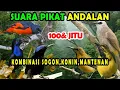Download Lagu suara pikat trucukan ribut kombinasi konin,sogon,mantenan