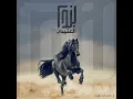 لايهمك يا وطنا