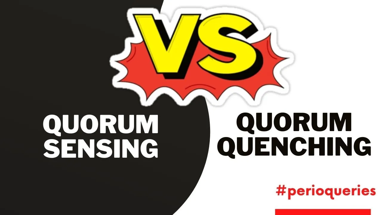 QUORUM SENSING AND QUORUM QUENCHING II Periodontal bacteria II #perioqueries
