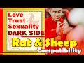 Rat and Sheep Compatibility in Love Life Trust and Intimacy Rat Sheep Chinese Zodiac Compat