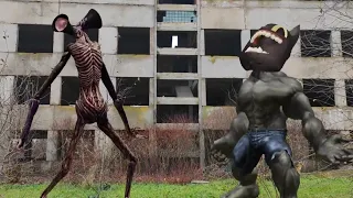 They know your time. They are among us.#shortvideo #watchagain #youtubeshorts #mysteryShorts 