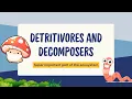 Detritivores vs Decomposers What s the Difference Ecosystem Breakdown Biospeaks