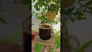 الدنيا بنعيشها مرة فضل شاكر حلوة الاغنية حالات واتس اب  الدنيا بنعيشها مرة فضل شاكر حلوة الاغنية حالات واتس اب