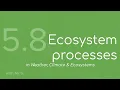 Ecosystem processes FMGL5 8