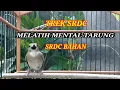 Download Lagu Suara TREK/CAS SRDC untuk melatih MENTAL TARUNG srdc bahan jadi gacor FIGHTER