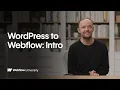 WordPress to Webflow What You Need to Know Before Migrating - Webflow tutorial