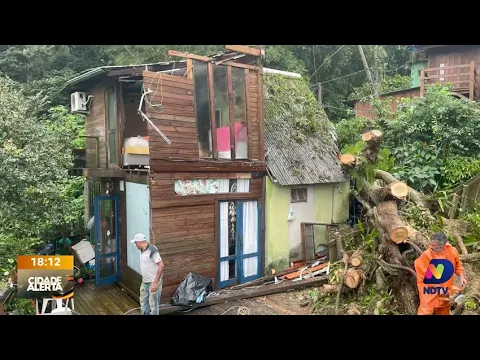 Árvore cai e atinge duas residências na Costa da Lagoa