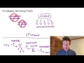 CS 6120 Lesson 11 Dynamic Compilers