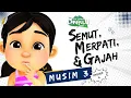 Download Lagu Pada Zaman Dahulu S03E04 - Semut, Merpati dan Gajah