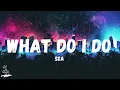 Download Lagu SZA - What Do I Do (Lyrics)