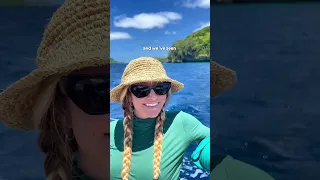 DREAM BOATLIFE UNLOCKED! (Sailing through Polynesia) 🏝️