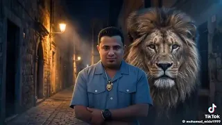 مهرجان اسلام كابونجا    اسد الشوارع دندنها