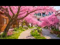Download Lagu Nervous System Restoration 🌸 Gentle Music for Inner Peace and Stress Relief #6