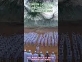 KEREN LASKAR FPI, AKHIR MEI 2025 #fpi #habibrizieq #megamendung #bogor #gagah #ormasislam #ulama
