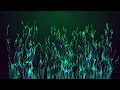 Trapcode Particular After Effects Tutorial 4 PARTICLES SHINNING LINES ANIMATED MOTION BACKGROUND