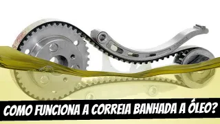 COMO FUNCIONA A CORREIA BANHADA A ÓLEO E POR QUE NÃO DEU CERTO?