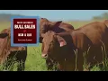 Santa Gertrudis - Versatility and Profitability