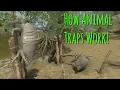 How Animal Traps Work Green Hell