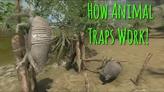 How Animal Traps Work Green Hell