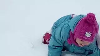 Зимові метелики 