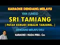 Download Lagu Sri Tamiang karaoke melayu deli nada pria Cm versi Yan Juneid - cha cha dangdut melayu
