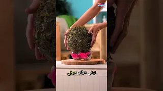مصباح سحري من الوق 