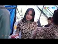 Download Lagu TAK BERDAYA || NEW NADA PANTURA || ELY WASTEM GROUP || CILINCING, 29 DESEMBER 2024