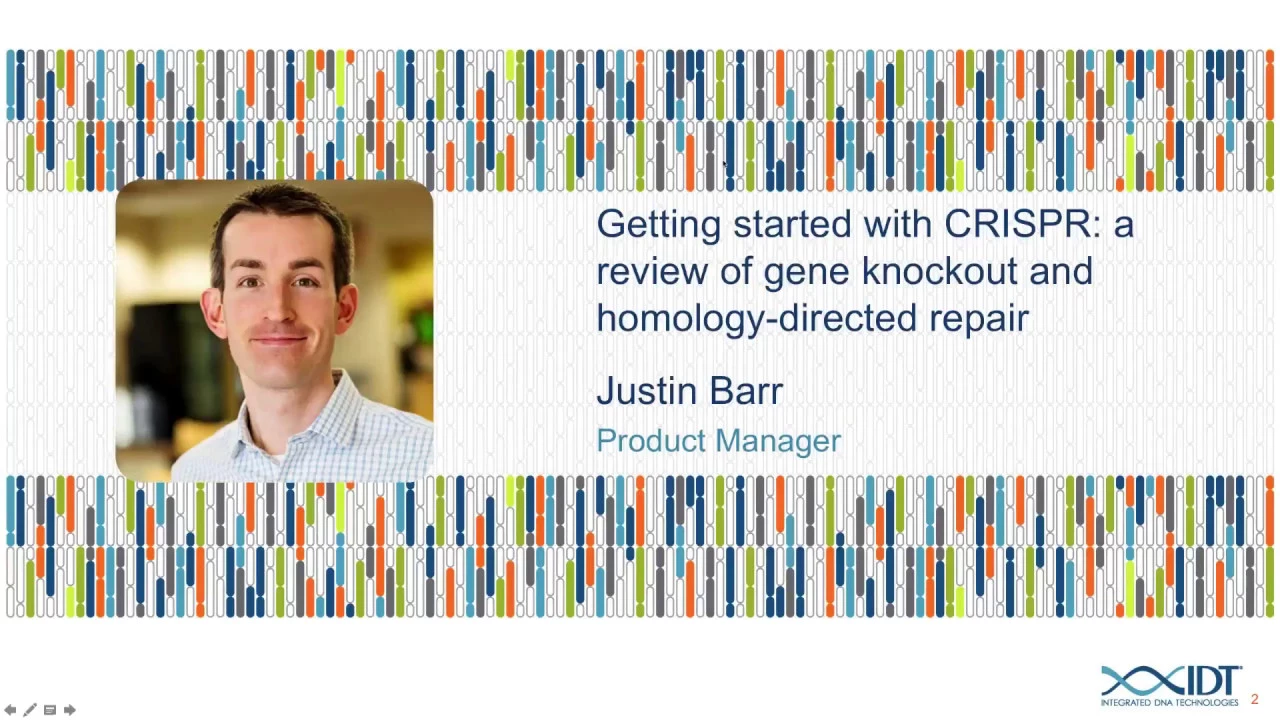 Getting started with CRISPR: a review of gene knockout and homology-directed repair