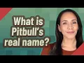 What is Pitbull s real name