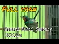 Download Lagu Kolibri wulung gacor full isian tembakan kenari kunti sambung cillilin !! bagus buat masteran