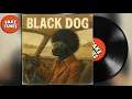 BLACK DOG - LED ZEPPELIN (Funk Reimagined)