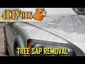 How to Remove Tree Sap from your Vehicle s Paint - 4 Different Methods
