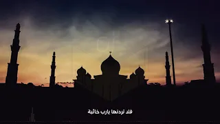 قصدت باب الرجا والناس قد رقدوا بصوت رهيب 