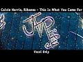 Calvin Harris, Rihanna - This Is What You Came For | Vocal Only